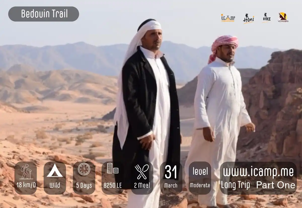 two Bedouin men standing on top of a mountain and valley behind them