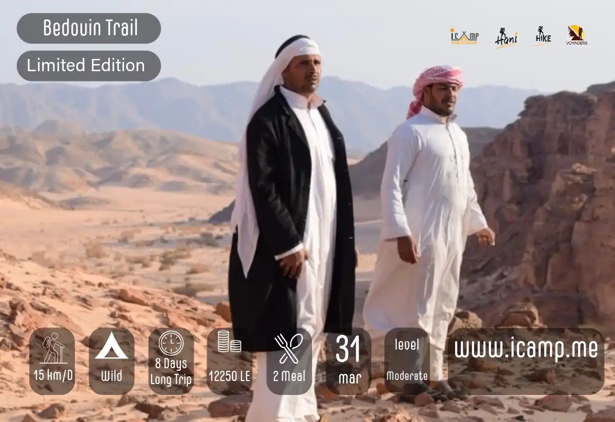 two Bedouin men standing on top of a mountain and valley behind them