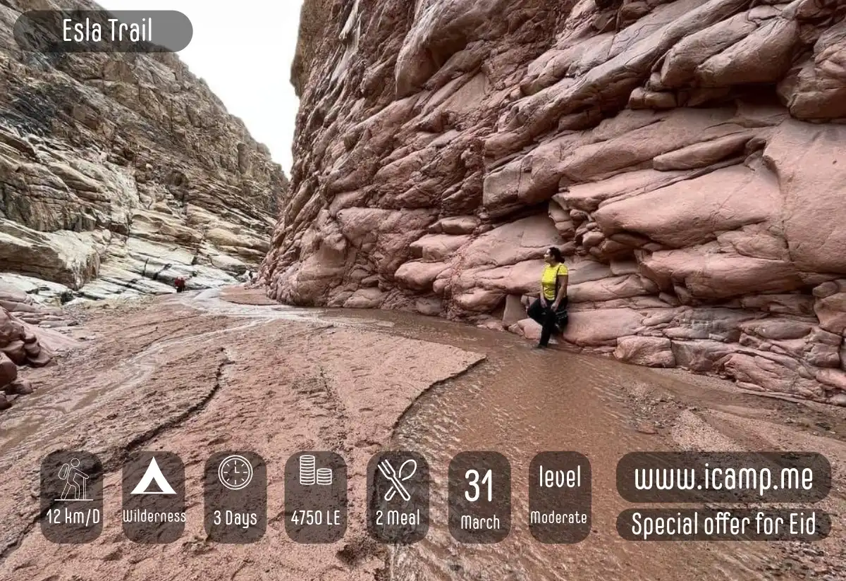 Rocky canyon with towering brown formations, a narrow stream, and a hiker exploring the landscape