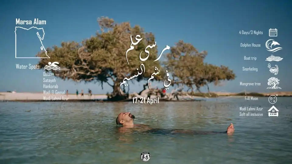 A person floats in clear shallow water near a mangrove tree, with a sandy shore and people in the background under a sunny sky
